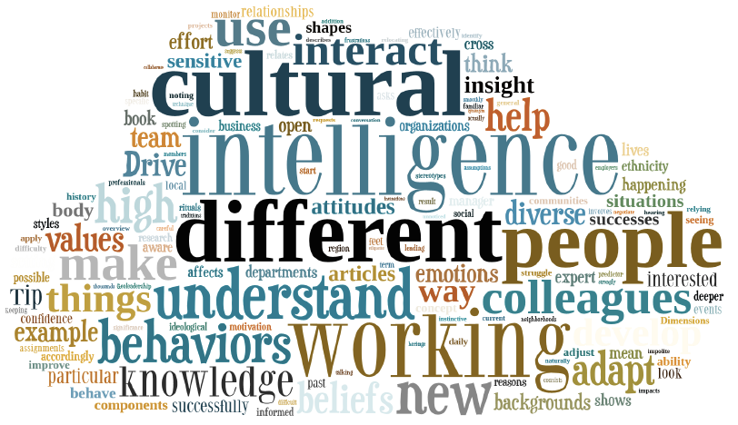 Discover how cultural awareness and competency drive success in the Middle East’s multicultural workplaces. Learn actionable steps for cultural competency.